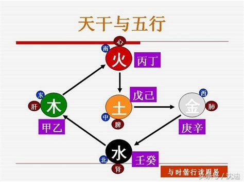 甲木丁火|命理知识：解读甲木生丁火组合